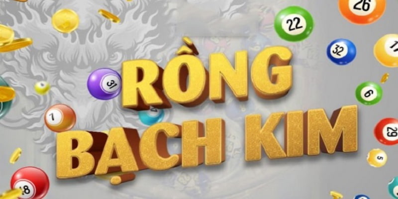 Cách sử dụng dàn đề rồng bạch kim hiệu quả nhất