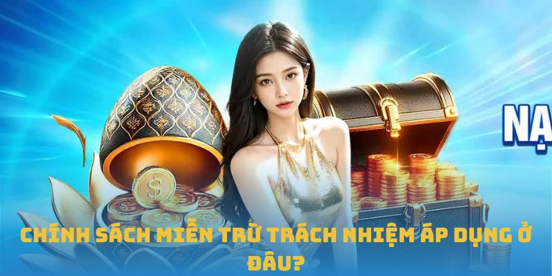 Chính sách miễn trừ trách nhiệm áp dụng ở đâu?