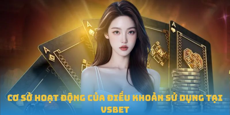 Cơ sở hoạt động của điều khoản sử dụng tại VSBET