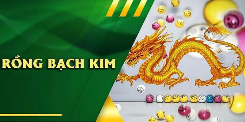 Dàn Đề Rồng Bạch Kim – Chìa Khóa Vàng Giải Mã Con Số May Mắn
